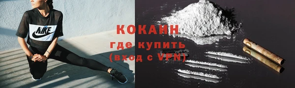 шишки Балабаново