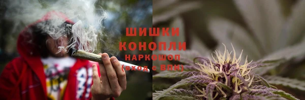 шишки Балабаново